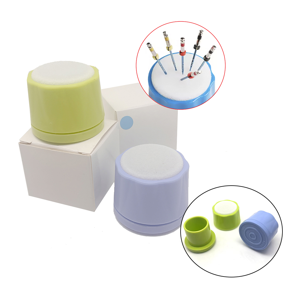 Eco Sponge - صندوق حامل ملفات قناة الجذر مع