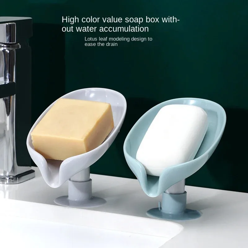 حامل صابون على شكل ورقة شجر، ص - مراجعة Eco Sponge وسعره