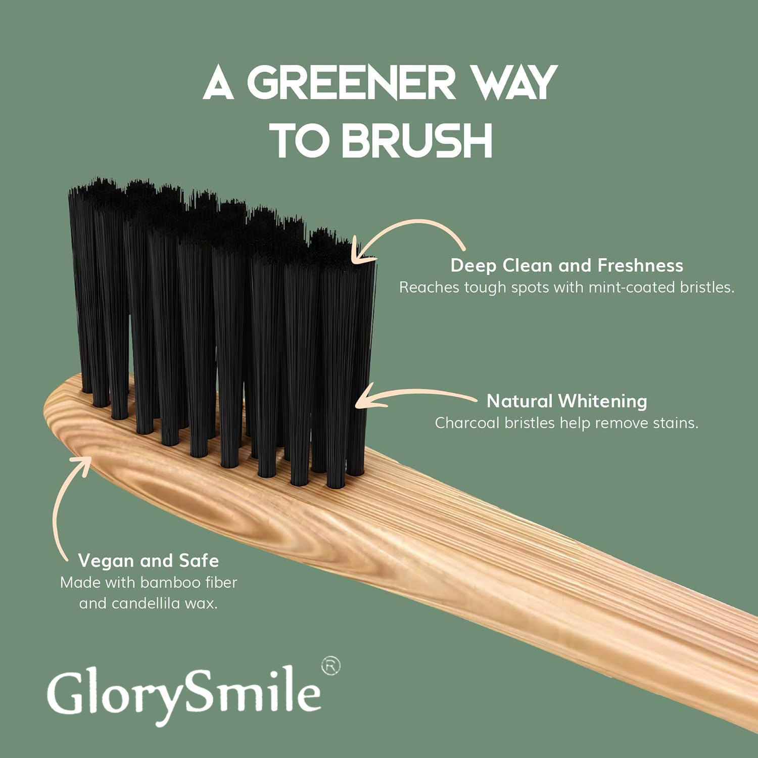 فرشاة أسنان من الخيزران للبالغ - مراجعة Bamboo Toothbrush وسعره