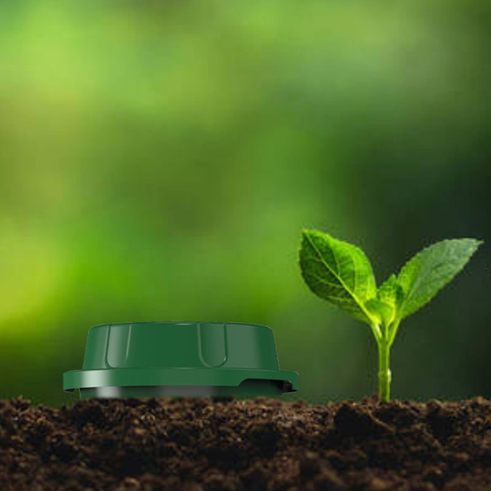 صندوق سماد دودي مدمج في الأرض  - مراجعة Compost Bin وسعره