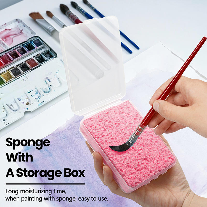 إسفنجة تنظيف الألوان المائية ف - مراجعة Eco Sponge وسعره