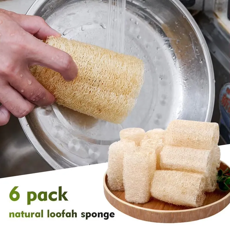 أحدث فرشاة غسيل الأطباق من الل - مراجعة Eco Sponge وسعره