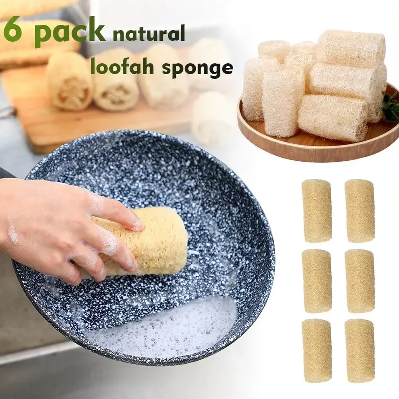 أحدث فرشاة غسيل الأطباق من الل - مراجعة Eco Sponge وسعره